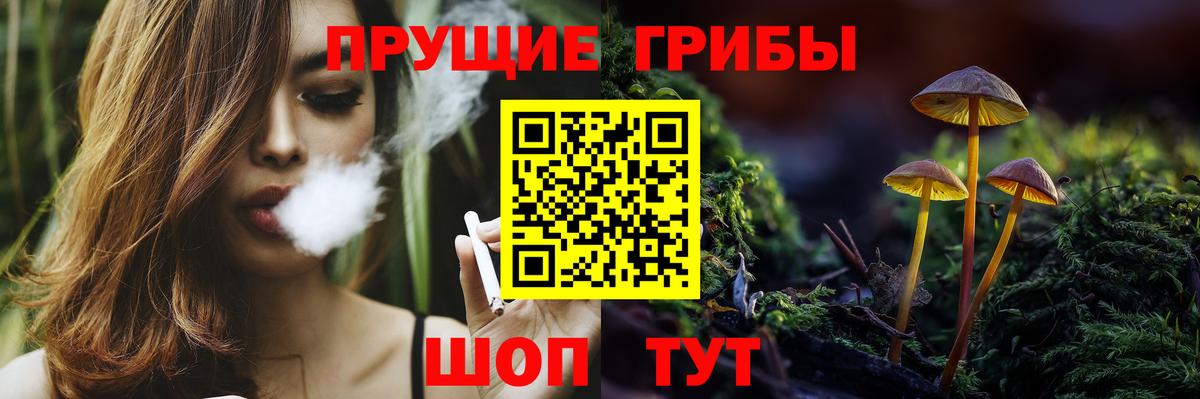 Кудымкар  Псилоцибиновые грибы Psilocybe  Вход с VPN 